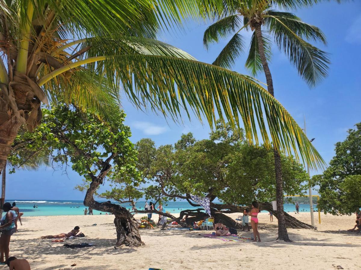 L'anjou Créole Anne Guadeloupe * Sainte-Anne (Grande-Terre)