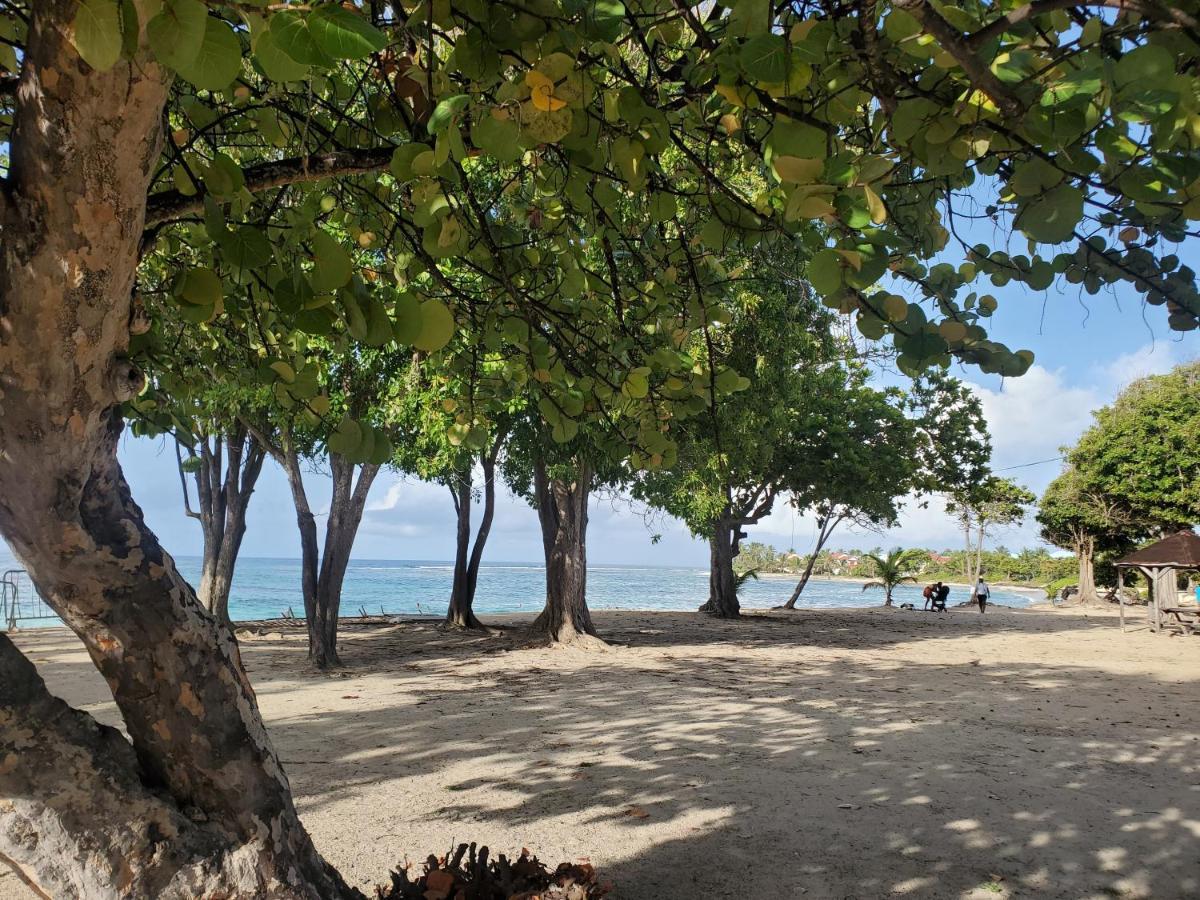L'anjou Créole Anne Guadeloupe * Sainte-Anne (Grande-Terre)