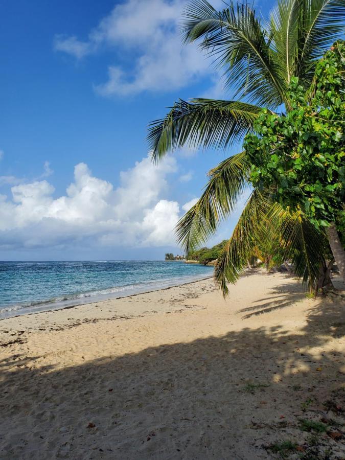 L'anjou Créole Anne Guadeloupe Hébergement de vacances