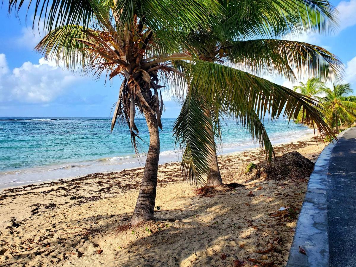 Hébergement de vacances L'anjou Créole Anne Guadeloupe