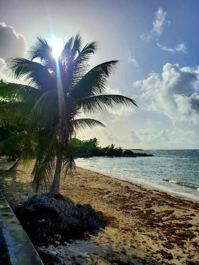 L'anjou Créole Anne Guadeloupe Hébergement de vacances