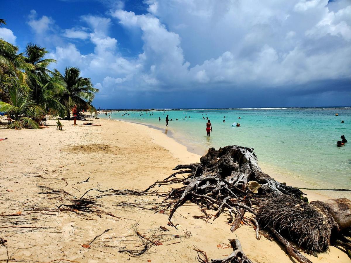 L'anjou Créole Anne Guadeloupe
