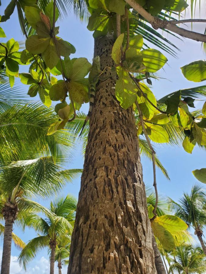 L'anjou Créole Anne Guadeloupe Hébergement de vacances Sainte-Anne (Grande-Terre)