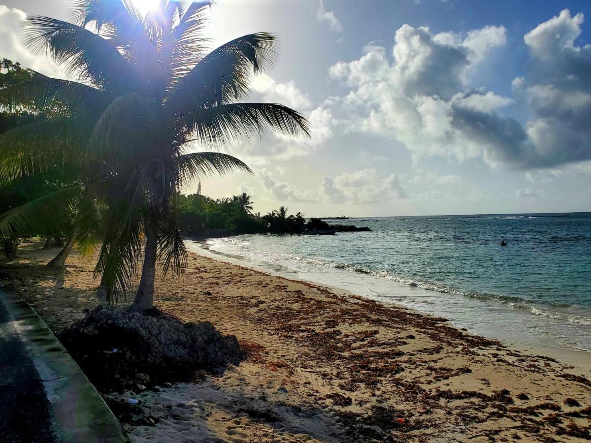 L'anjou Créole Anne Guadeloupe