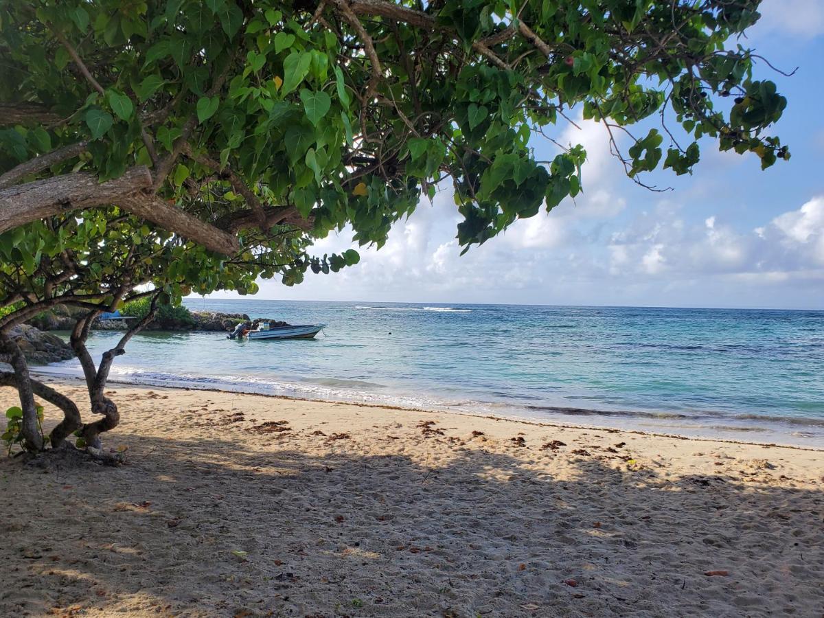 Hébergement de vacances L'anjou Créole Anne Guadeloupe