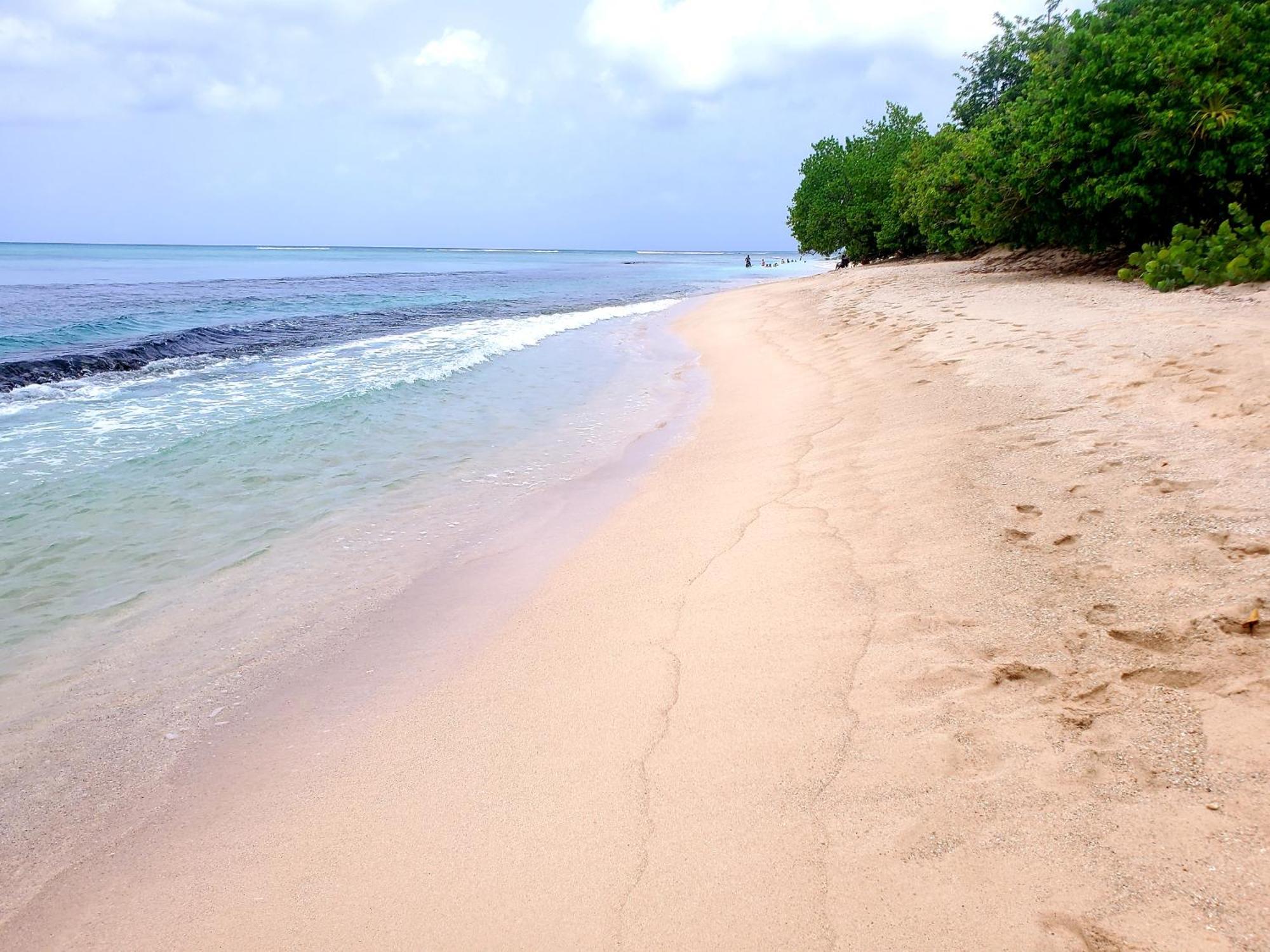 Hébergement de vacances L'anjou Créole Anne Guadeloupe *